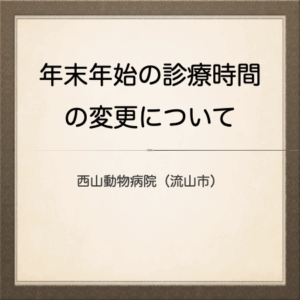 年末年始の診療時間の変更について